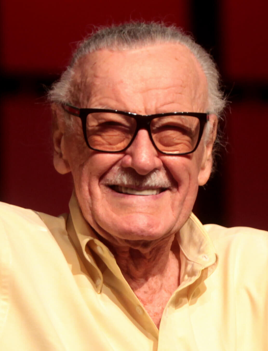 Stan_Lee_by_Gage_Skidmore_31