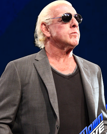 Ric Flair Greshdigigames Wiki Fandom