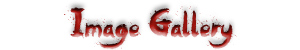 Image-Gallery-header