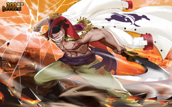 Whitebeard | 300 Heroes Wikia | Fandom