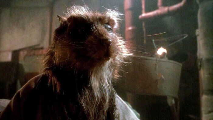 tmnt-splinter-90s-movie