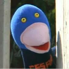 César 31 Minutos FANDOM powered by Wikia