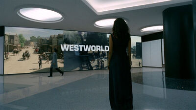 5 More Attractions We'd Like to See in 'Westworld'