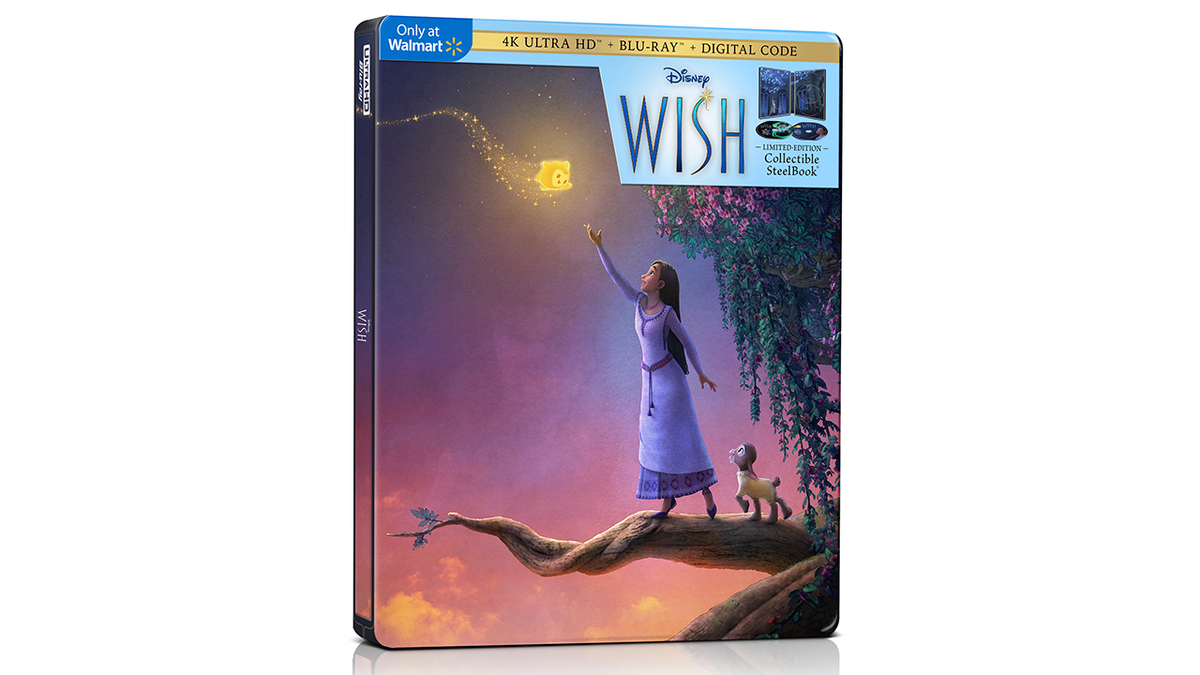 Disney's Wish (2023) film poster: Asha - online puzzle