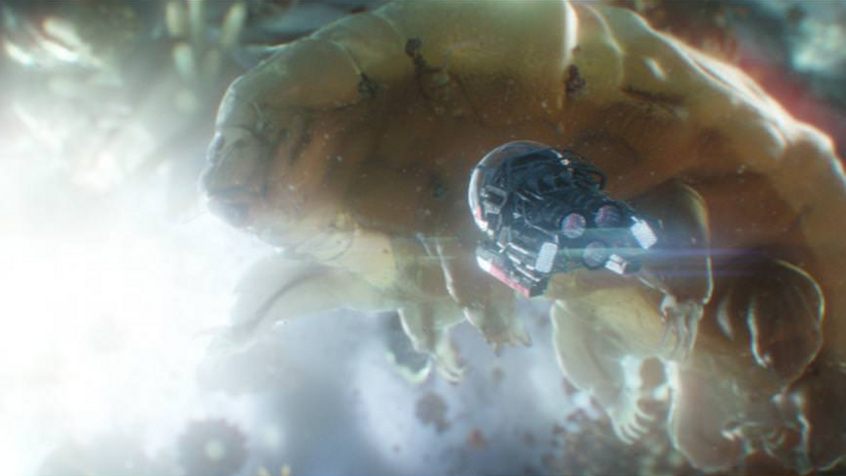 Ant-Man and the Wasp Quantum Realm