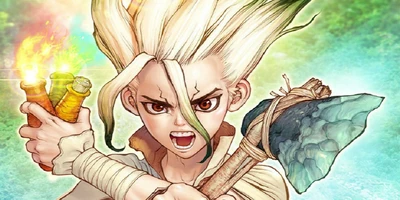 Dr. Stone