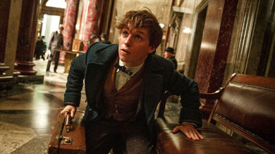 'Fantastic Beasts:' What We Learned from the Magical New Trailer