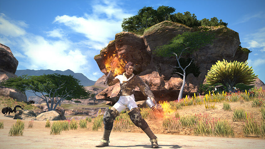 Pugilist from Final Fantasy XIV Online