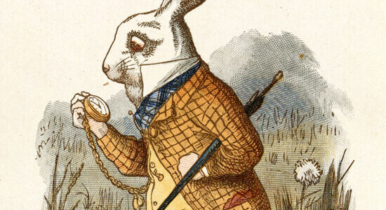 The White Rabbit