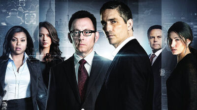 The Life and Death of 'Person of Interest'