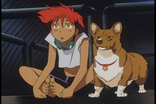 Ed and Ein in Cowboy Bebop