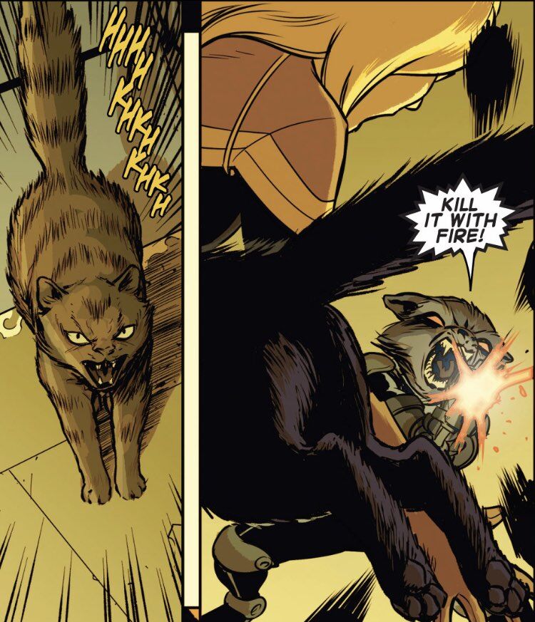 Chewie Cat Captain Marvel