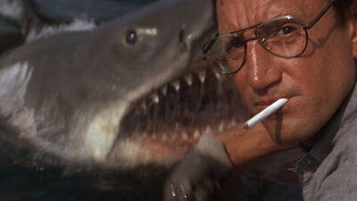 'Jaws' Throughout the Years: Amity Island to the Bahamas