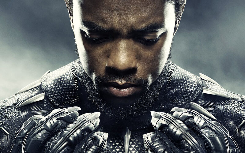 Quiz Which Black Panther Character Are You Fandom - quiz which black panther character are you