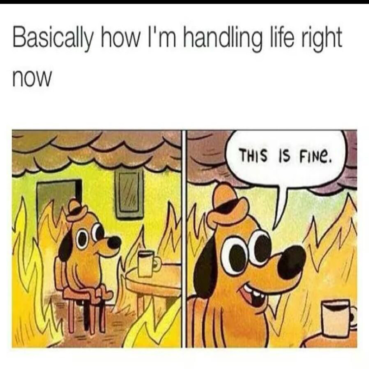 Картина по номерам this is fine