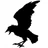 Аватар CrowArt