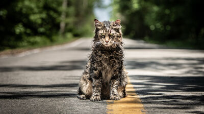 Top 10 Stephen King Movies of the Millennium