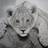 LionPrince13's avatar