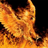 Phoenix jz's avatar
