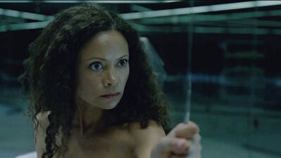 NYCC: 'Westworld's Thandie Newton Wanted to Retire