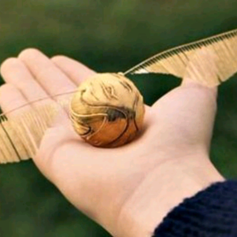 Какое существо до снитча. Какое существо до снитча. Морровинд снитч. Какое существо до снитча. Квиддич золотой снитч.