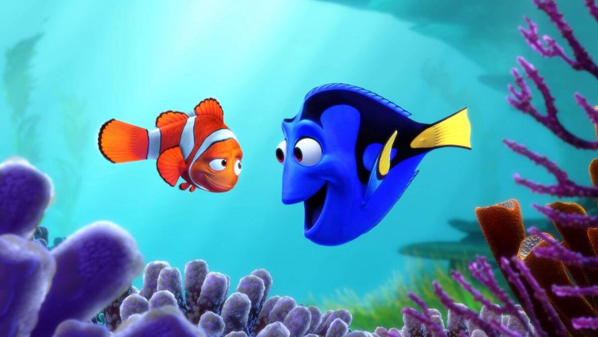 Dory (1)