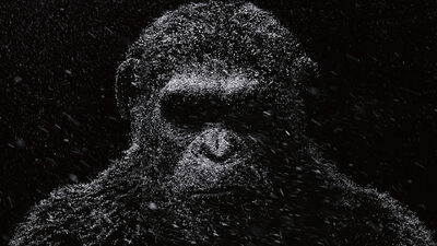 NYCC: Details of New Footage From 'War for the Planet of the Apes'