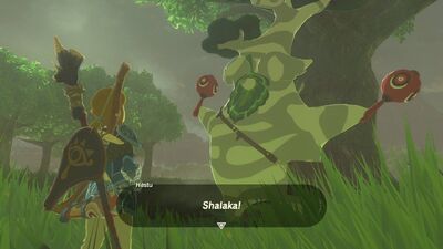 Get Unlimited Korok Seeds with this Zelda: Breath of the Wild Hack