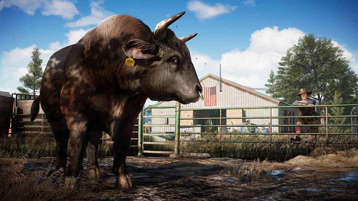Far Cry 5 animals bull cow