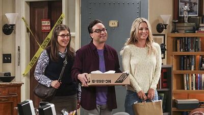 ‘The Big Bang Theory’ Recap and Reaction: “The Cohabitation Experimentation"