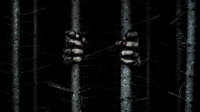 'The Woods' Is Actually 'Blair Witch' and It's Amazing