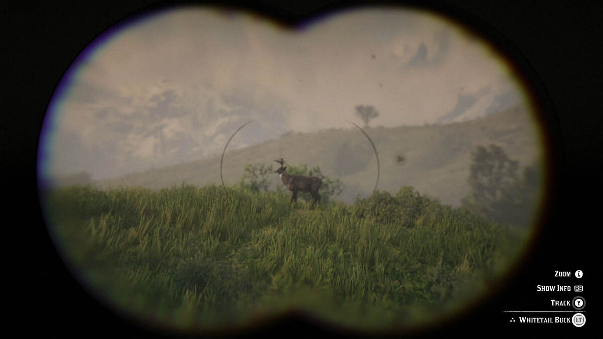 RDR2 hunting binoculars study animal