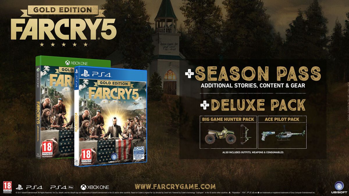  Far Cry 5 - PlayStation 4 Standard Edition : Ubisoft