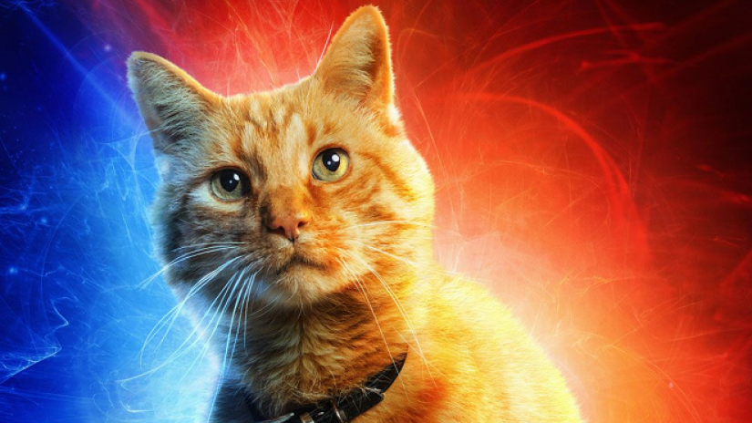 Goose Flerken Captain Marvel cat