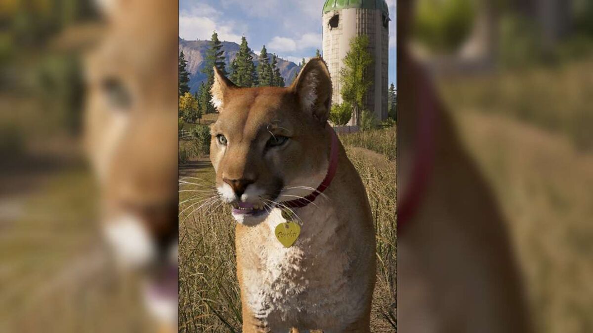 Far Cry 5 companions animals Peaches cougar