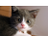 Catboy7402's avatar