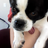 Allypuppi88's avatar