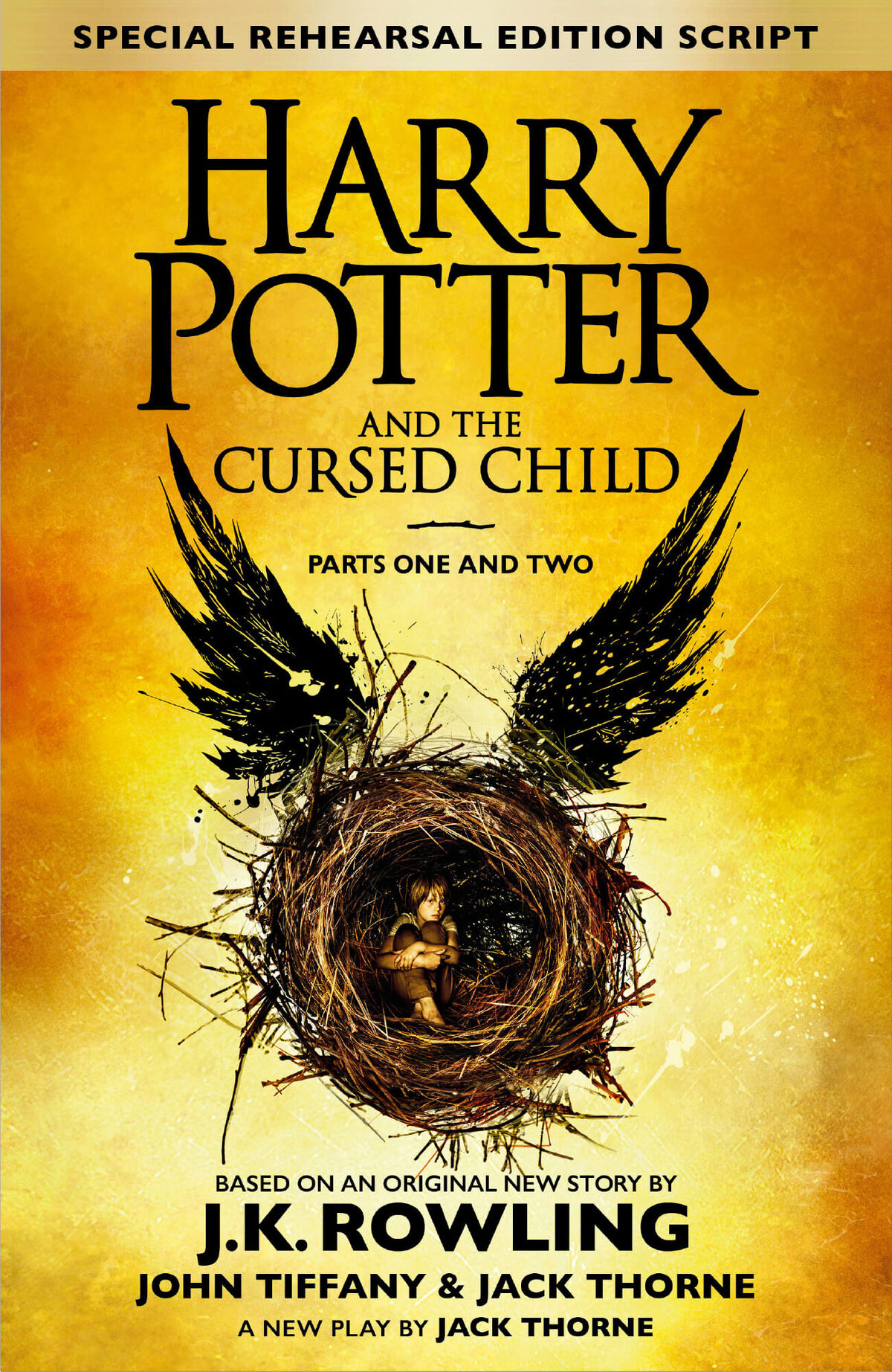 harry-potter-cursed-child-special-rehearsal-edition-book