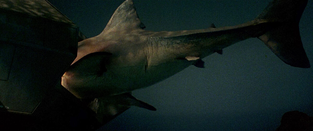 jaws-3d-miniature-shark