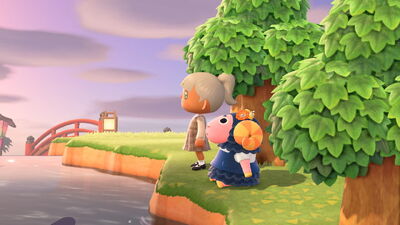 'Animal Crossing': How to Have a Happy Home Horizons Holiday