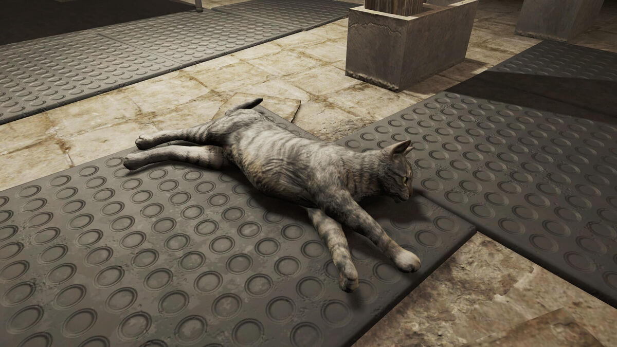 Fallout-4-Cat