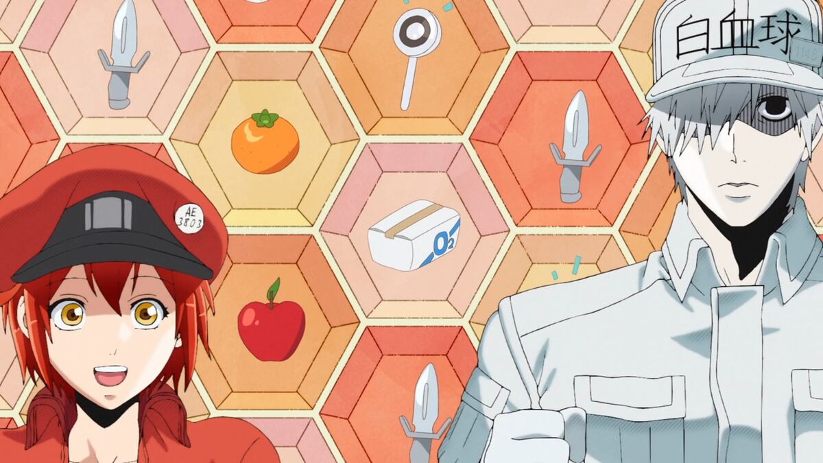 Cells at Work! Black Spinoff Manga Hyped in Intense Anime Promo