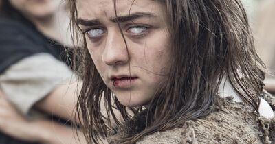 Arya's Most Badass 'Game of Thrones' Moments