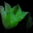 EmeraldTulip's avatar