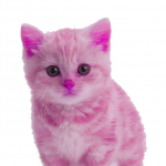 Pink-cat