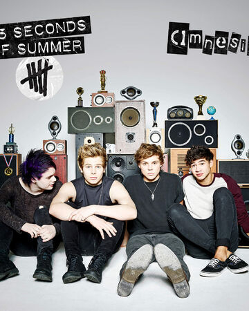 5 Seconds Of Summer Calm Itunes