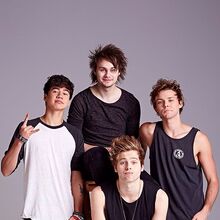 Dolly 5 Seconds Of Summer Wiki Fandom