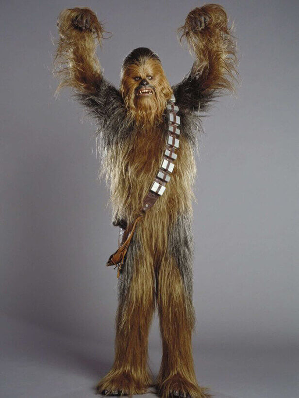 Chewbacca, from Star Wars