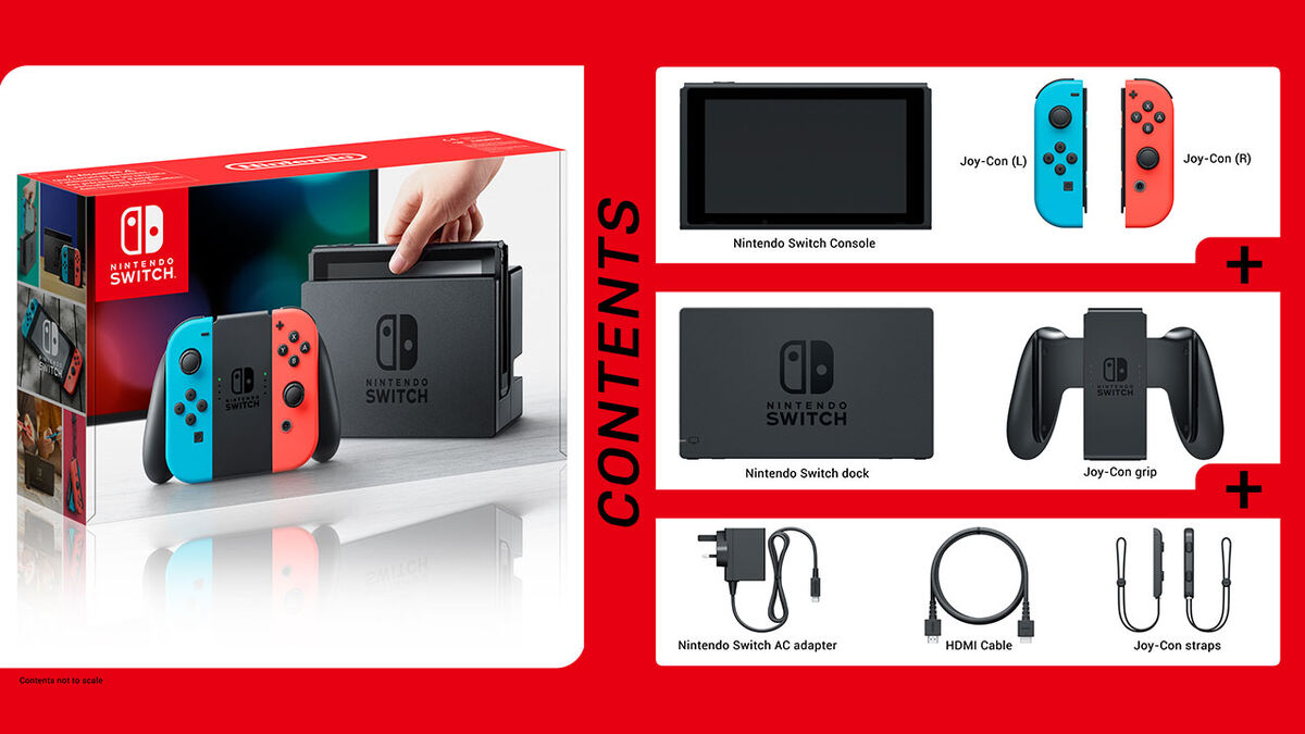 nintendo switch what accessories do i need