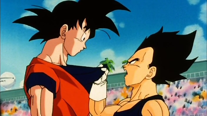 IS IT JUST A RIVALRY OR ARE GOKU AND VEGETA FRIENDS? 